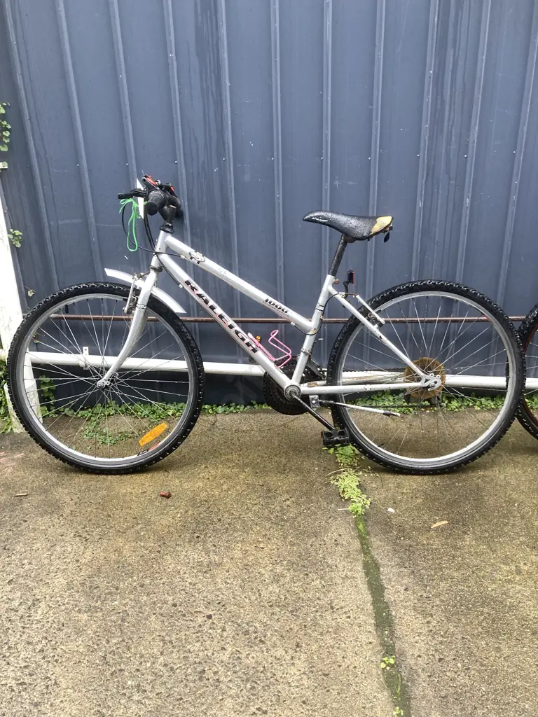 Silver Colour Raleigh Sports 1000 Ladies Bike Image 1++