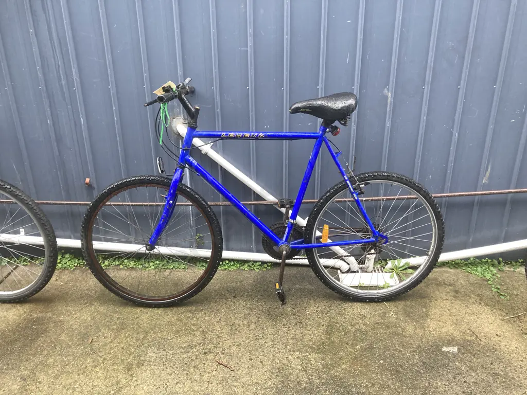 Blue Legend Bike, 15 Speed Image 1++