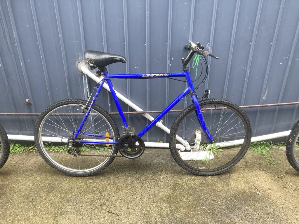 Blue Legend Bike, 15 Speed Image 1++