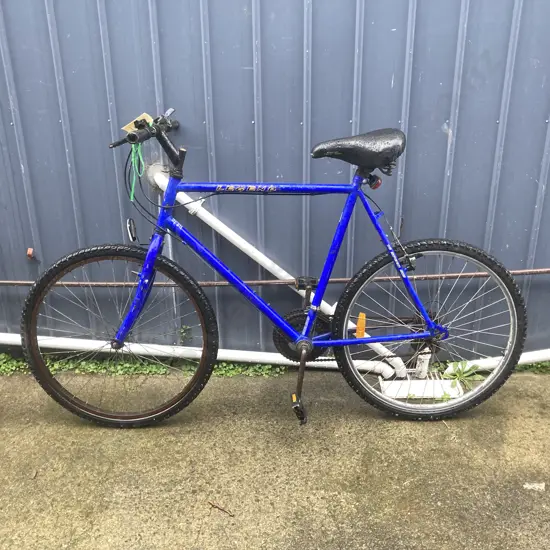 Blue Legend Bike, 15 Speed