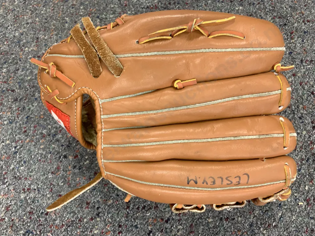 DL All Leather Softball Glove, #DL-906 Image 1++