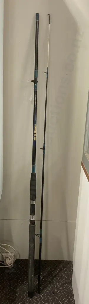 Berkley Boxa 10 Allrounda Fishing Rod 3.10m 2Pce 10-17lb Image 1++
