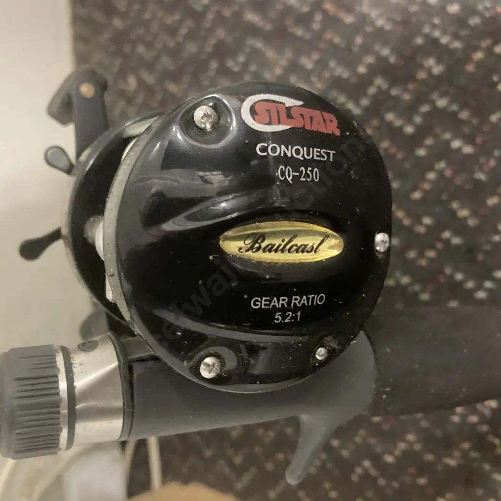 Silstar Power Tip PF-561CAMN Boat Road 1.7m 4-6kg 10-20g With A Conquest CQ-250 Reel Image 1++