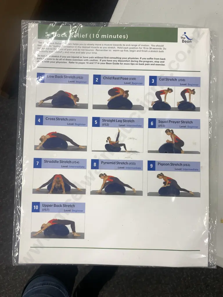 The Bean Exerciser With Instructions Image 1++