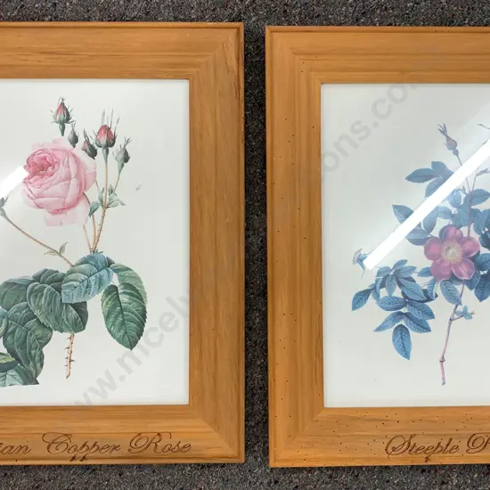 Rimu Framed Artwork x2 Steele Rose & Austrian Copper Rose 49cm x 41cm