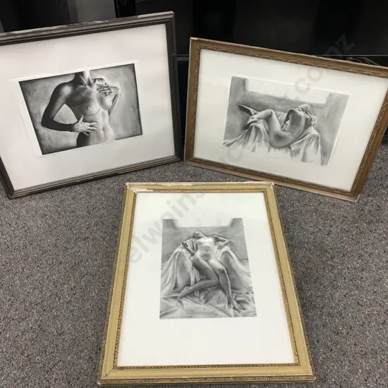 Lot of 3 Nude Pencil Drawings In Vintage Frames