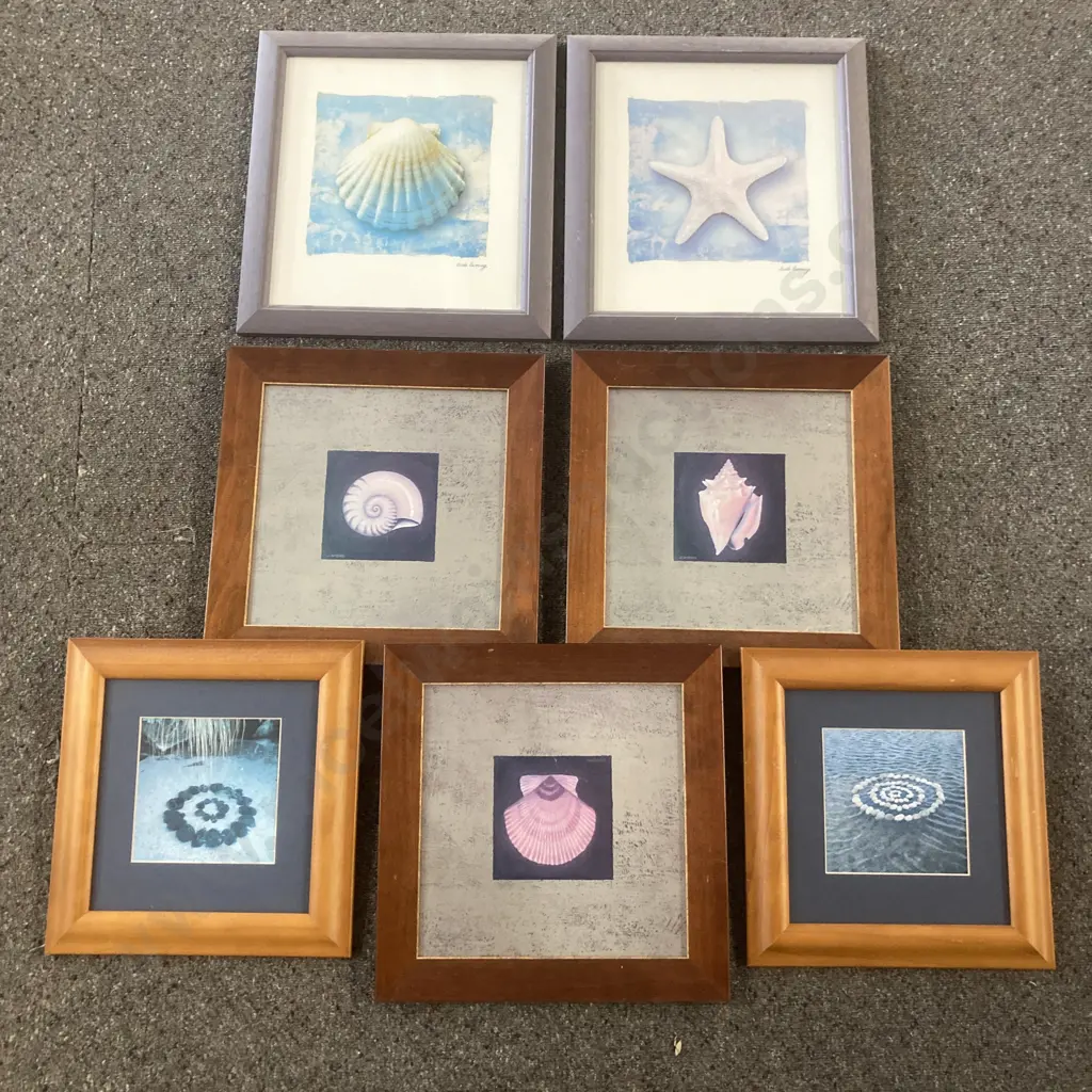 Assortment of Framed artworks, shells and pumice stones etc Image 1++
