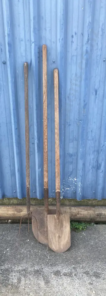 Pair of Shovels & Pitchfork (AF) Image 1++