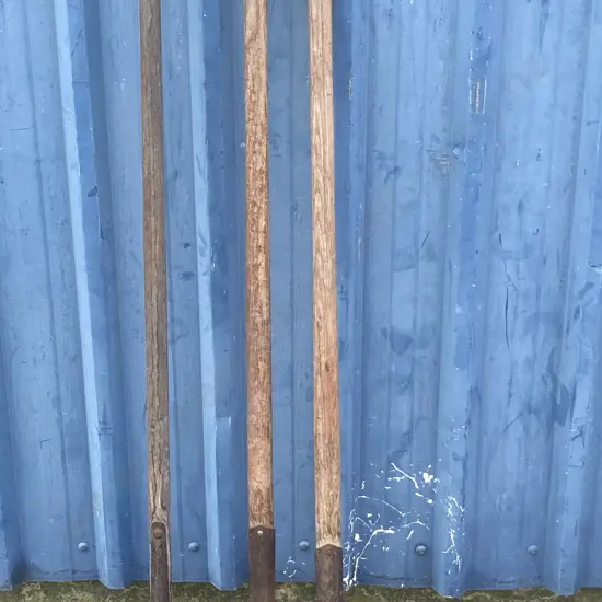Pair of Shovels & Pitchfork (AF)