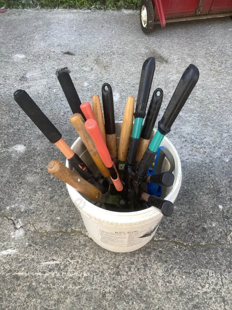 Lot of Shears, Loppers Etc Image 1++