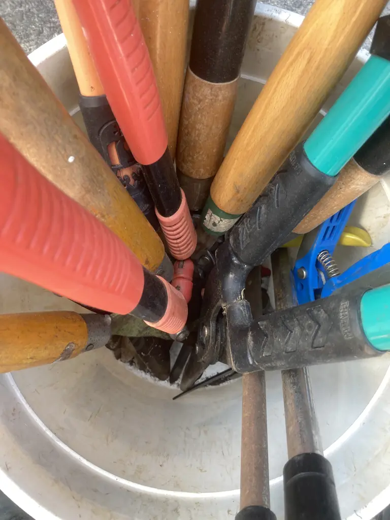 Lot of Shears, Loppers Etc Image 1++