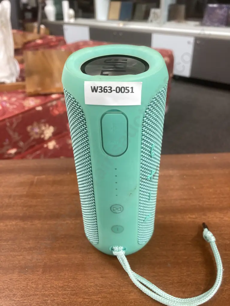 Pale Green JBL Bluetooth Speaker Image 1++