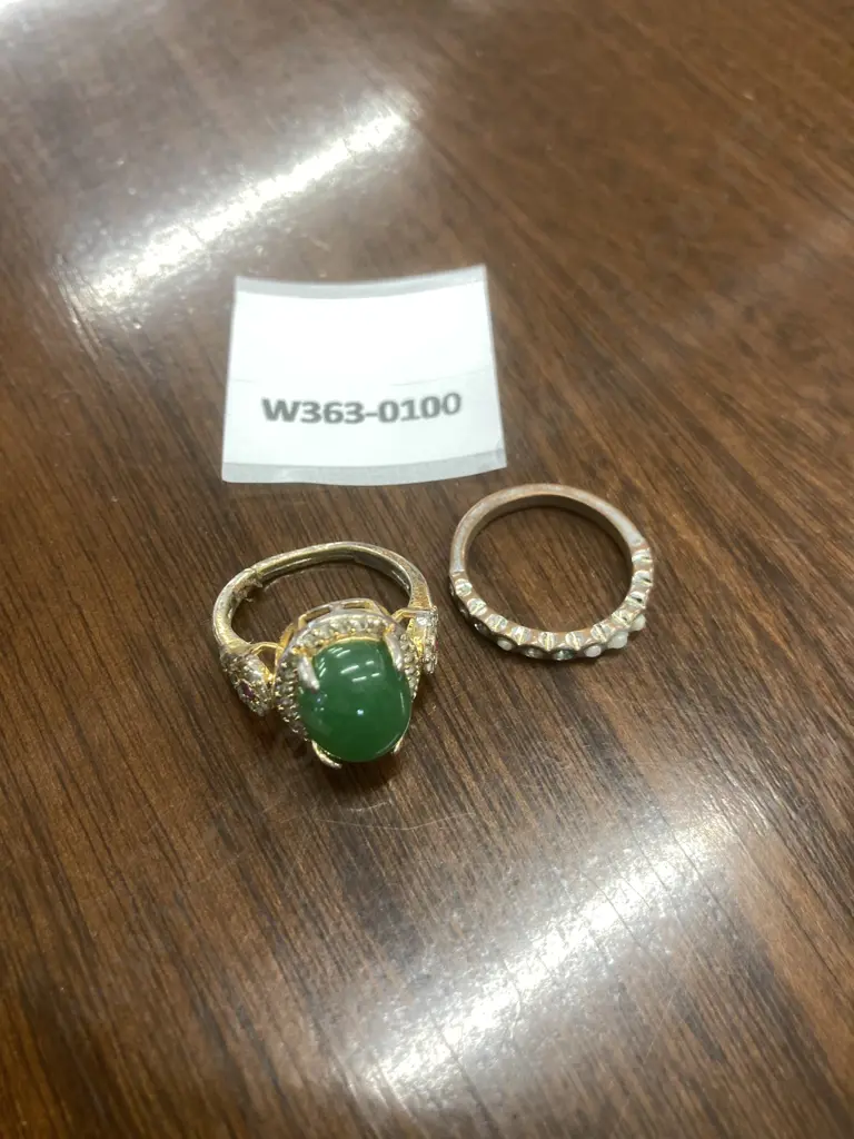 Pair of Costume Jewellery Rings Image 1++