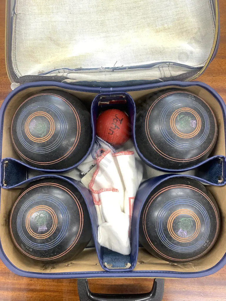 Vintage Bowls In Leather Case Image 1++