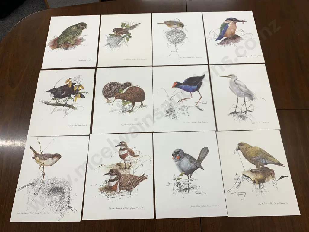 Lot of 12 Bruce Harvey Air New Zealand Lithographs Image 1++