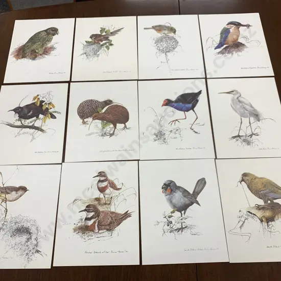 Lot of 12 Bruce Harvey Air New Zealand Lithographs