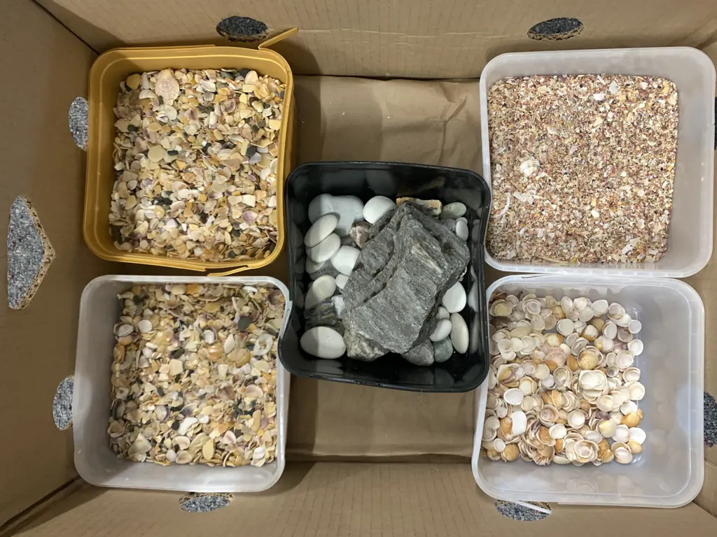 Box of Assorted Shells & Stones Image 1++