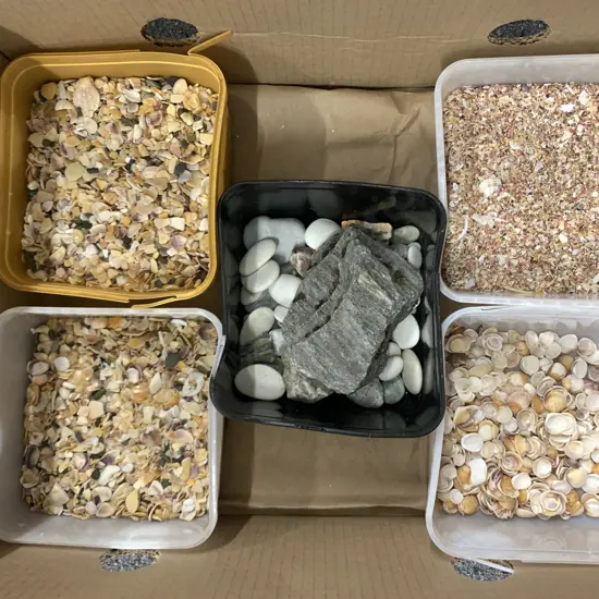 Box of Assorted Shells & Stones