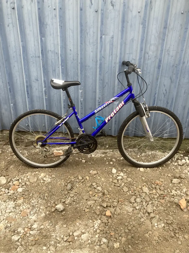 Blue Protani Silhouette Image 1++