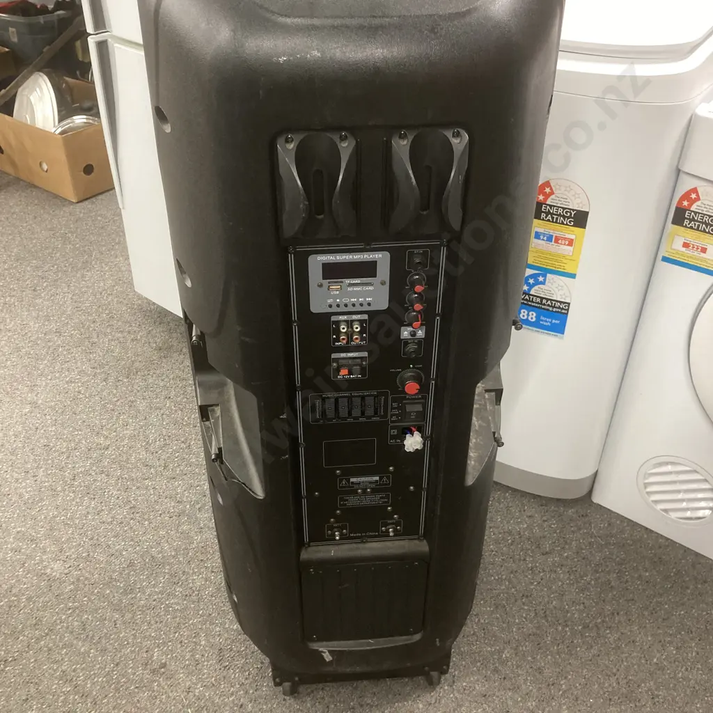 Temeisheng Very Large Speaker (Needs Work) Image 1++