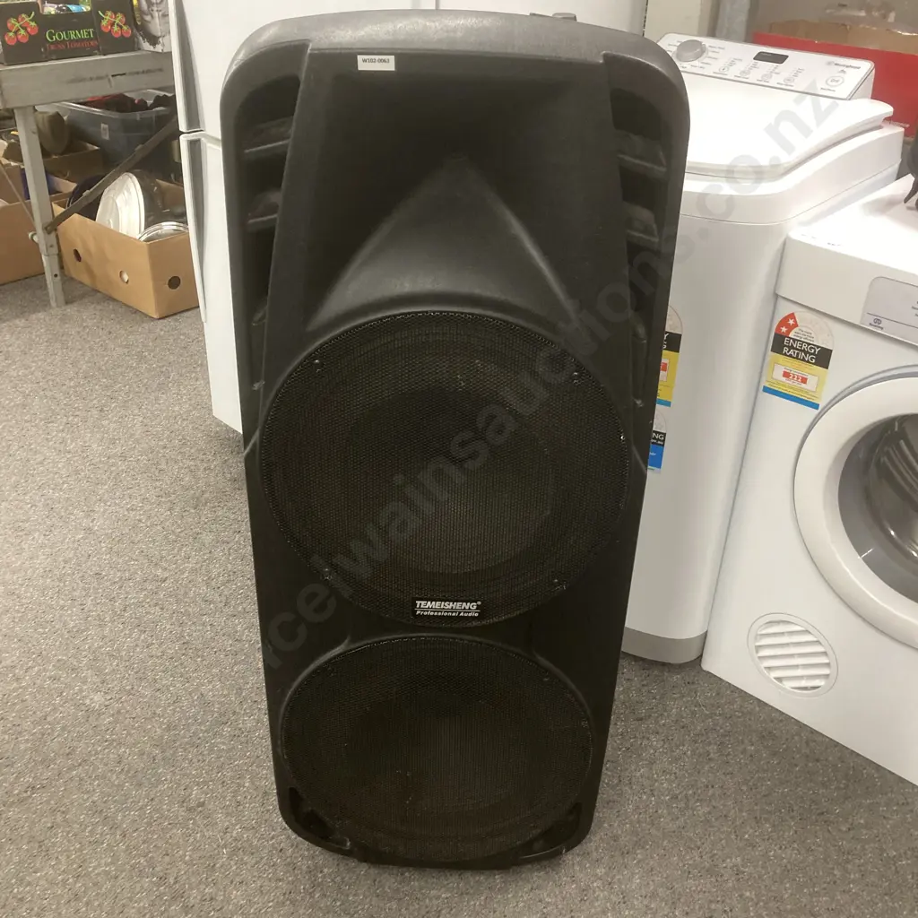 Temeisheng Very Large Speaker (Needs Work) Image 1++