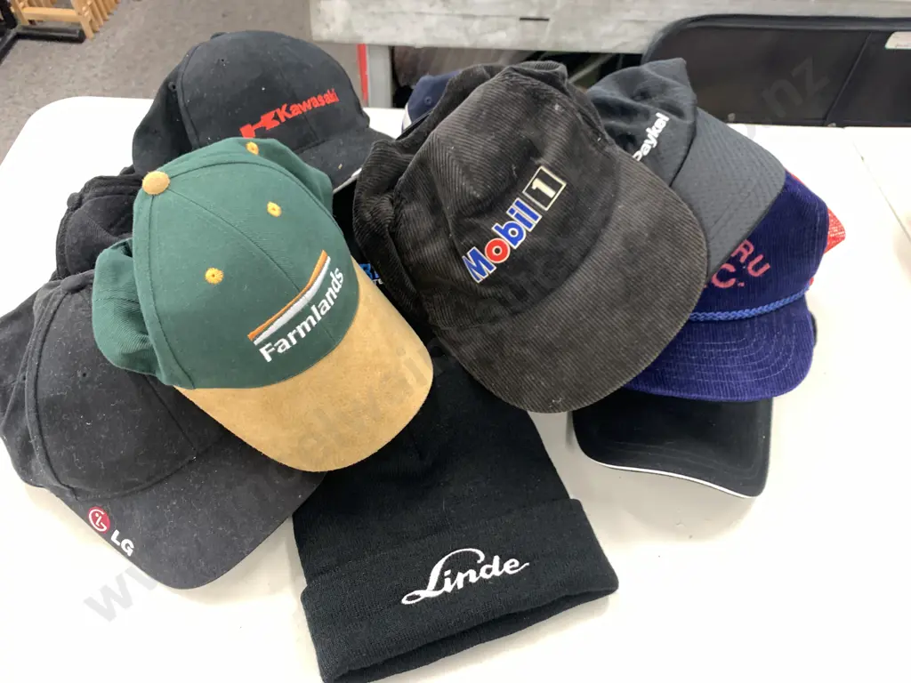 Assortment of Caps & Beanie Image 1++