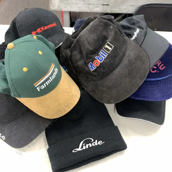Assortment of Caps & Beanie