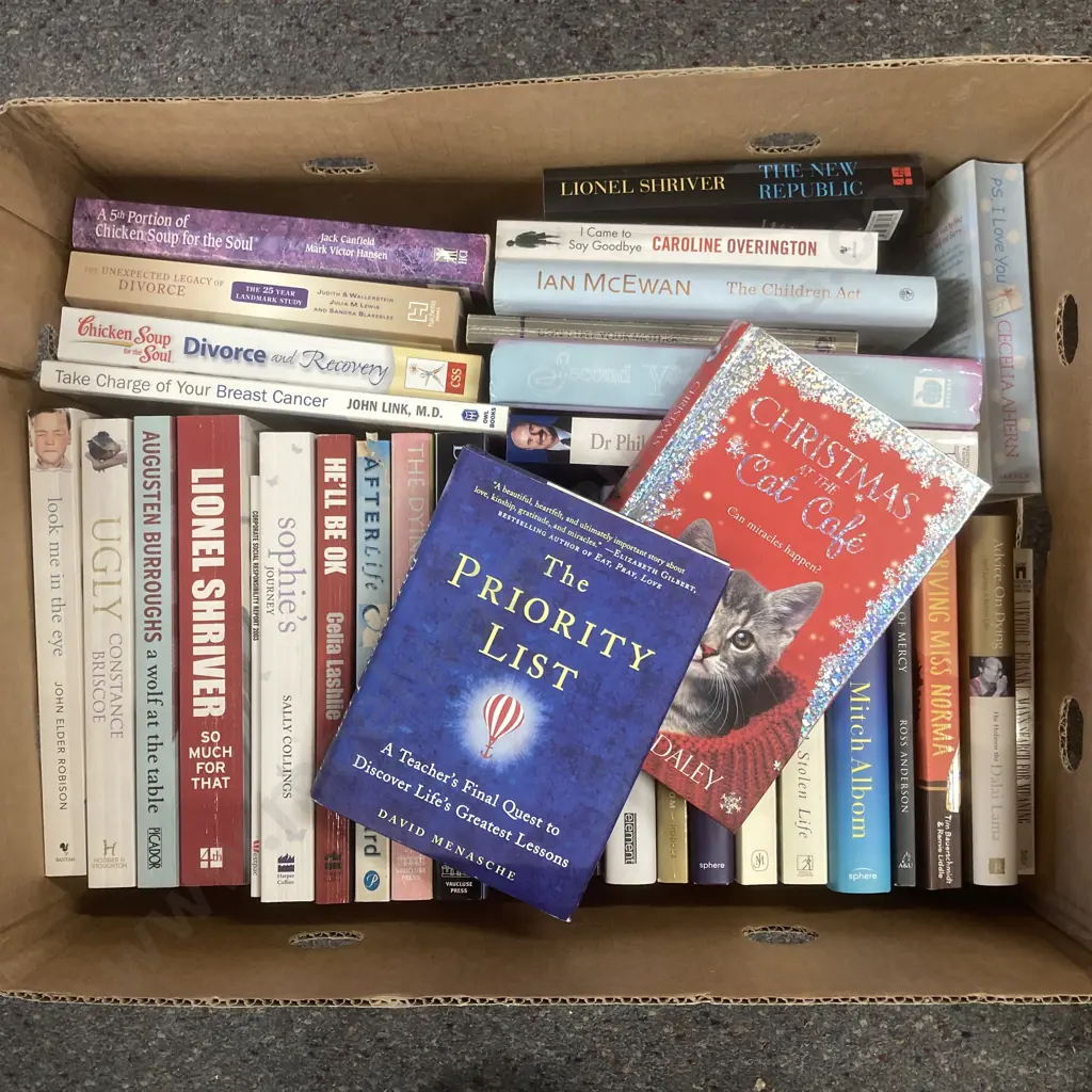 Lot of Books, Lionel Shriver, Chicken Soup Etc Image 1++