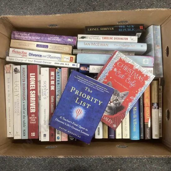 Lot of Books, Lionel Shriver, Chicken Soup Etc