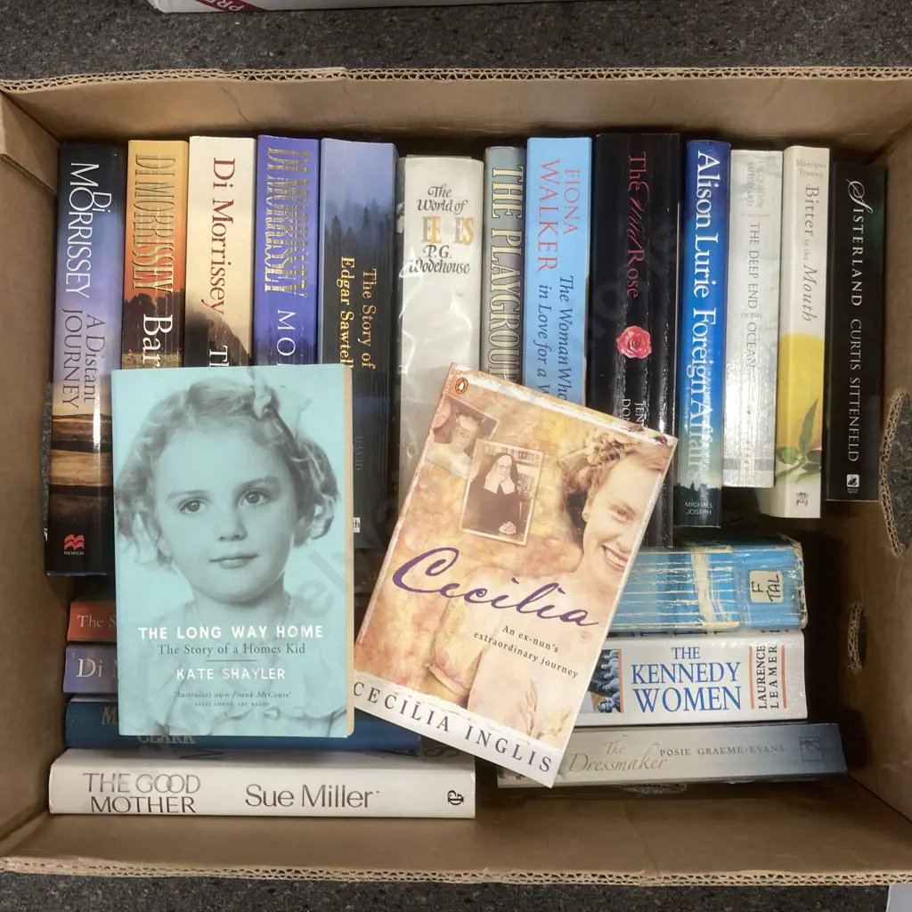 Lot of Books, Di Morrissey, Walker, Webber Etc Image 1++