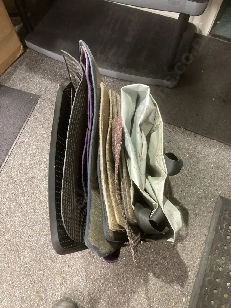 Box of Mats, Car Mats & Bag Image 1++