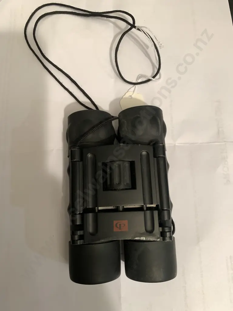 Binoculars, Small Black Image 1++