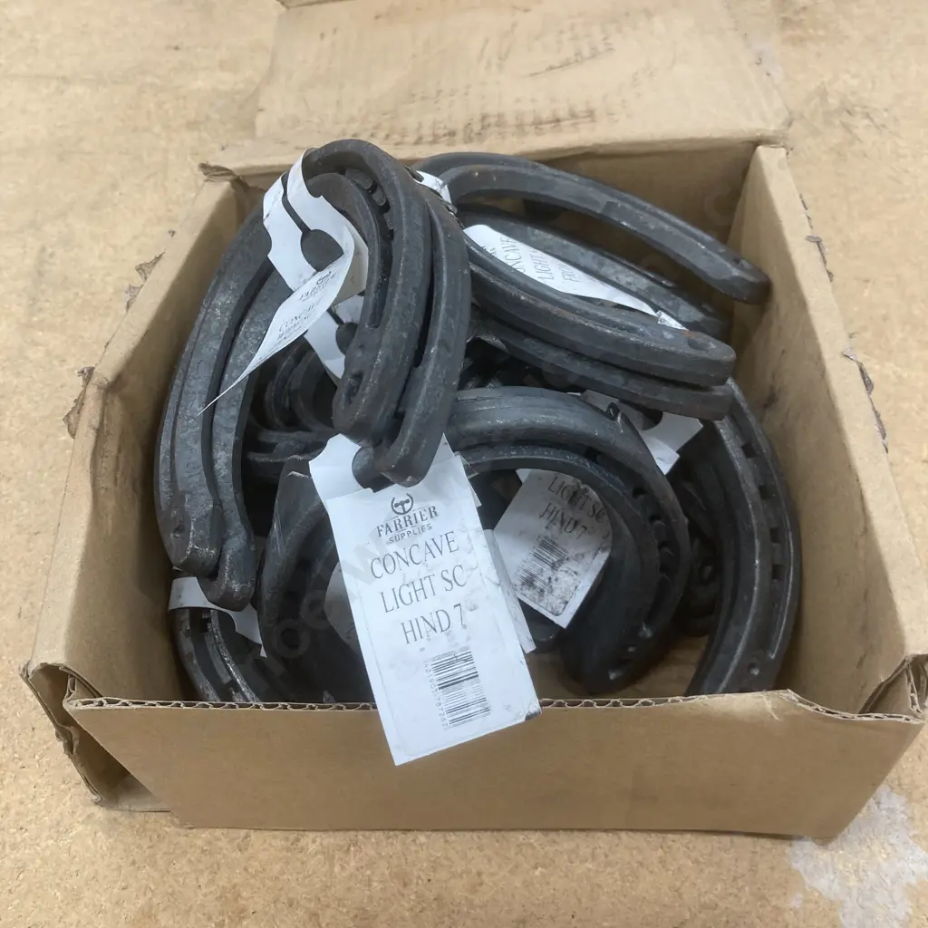 Box of 9 Pairs of New Assorted Concave & Light Horse Shoes Image 1++