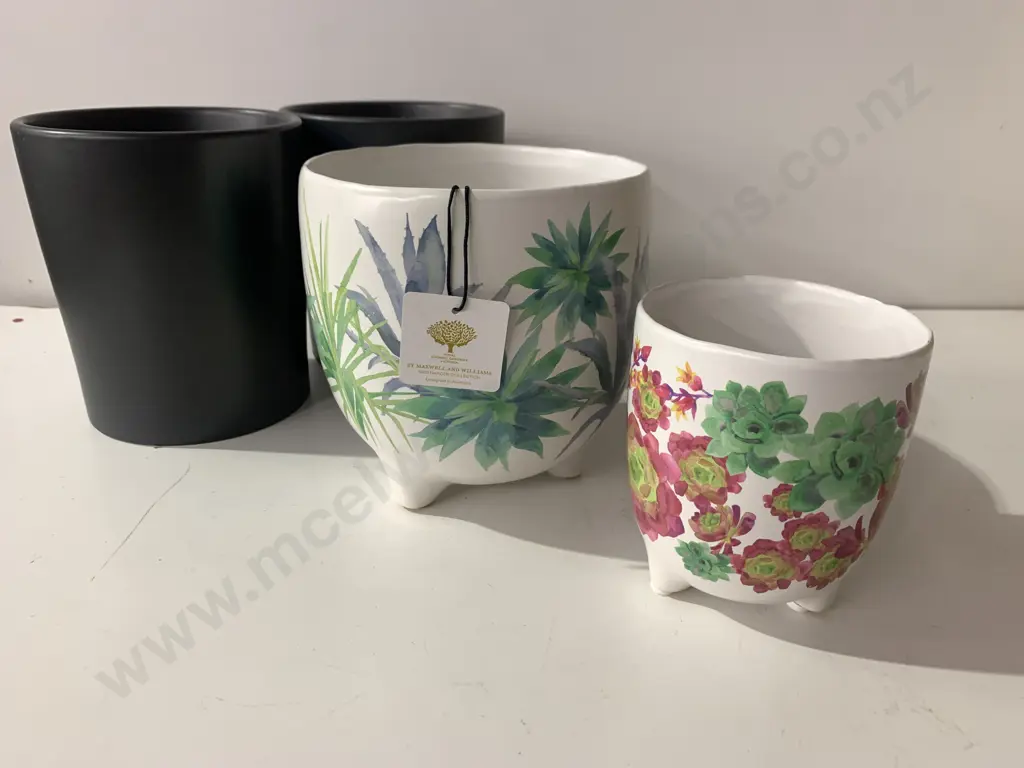 Maxwell & Willams Royal Botanic Garden Planters x2 With Black KG Cape Reinga Pots x2  Image 1++