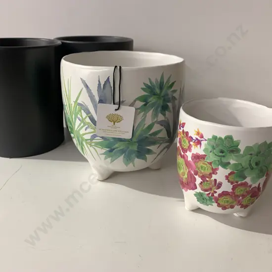 Maxwell & Willams Royal Botanic Garden Planters x2 With Black KG Cape Reinga Pots x2 