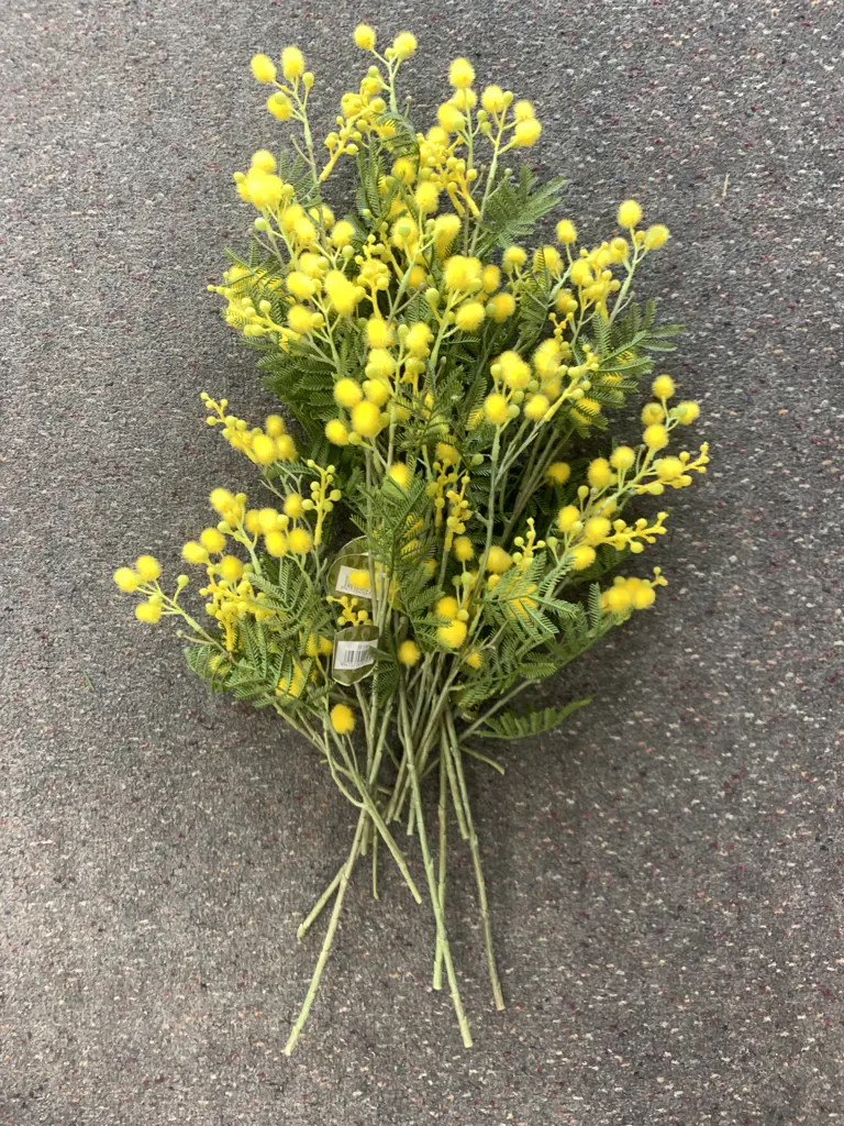 Lot of Assorted Lengths of New Faux Mimosa Image 1++