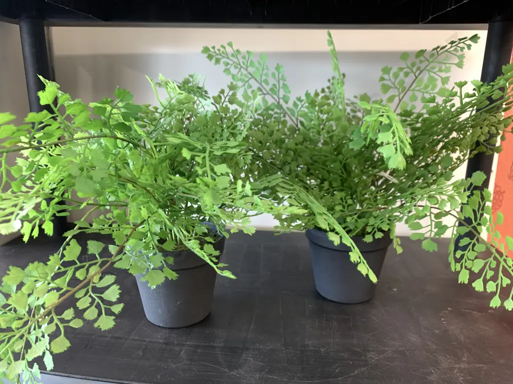 Pair of New Potted Artificial Maiden Hair Ferns Image 1++