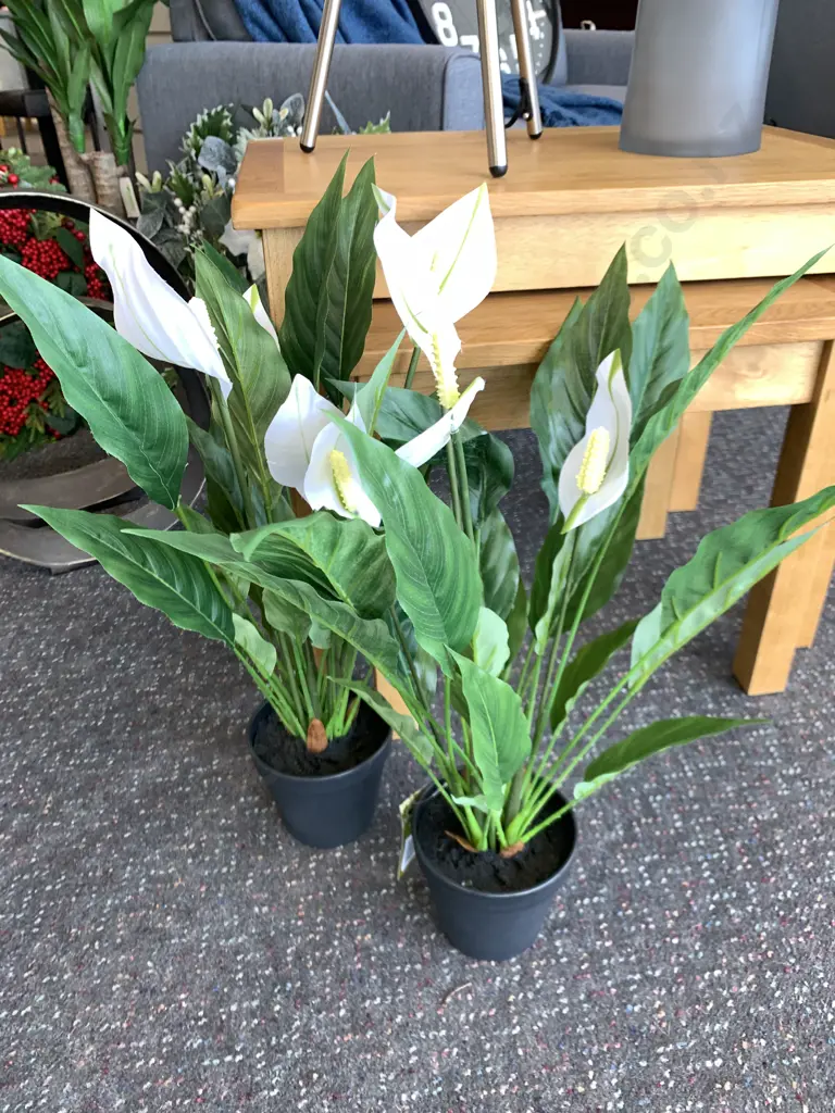 Pair of New Flower Systems Artificial Peace Lillies, H53cm Image 1++