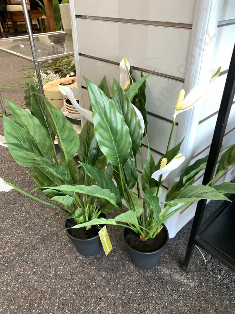Pair of New Flower Systems Artificial Peace Lillies, H53cm Image 1++