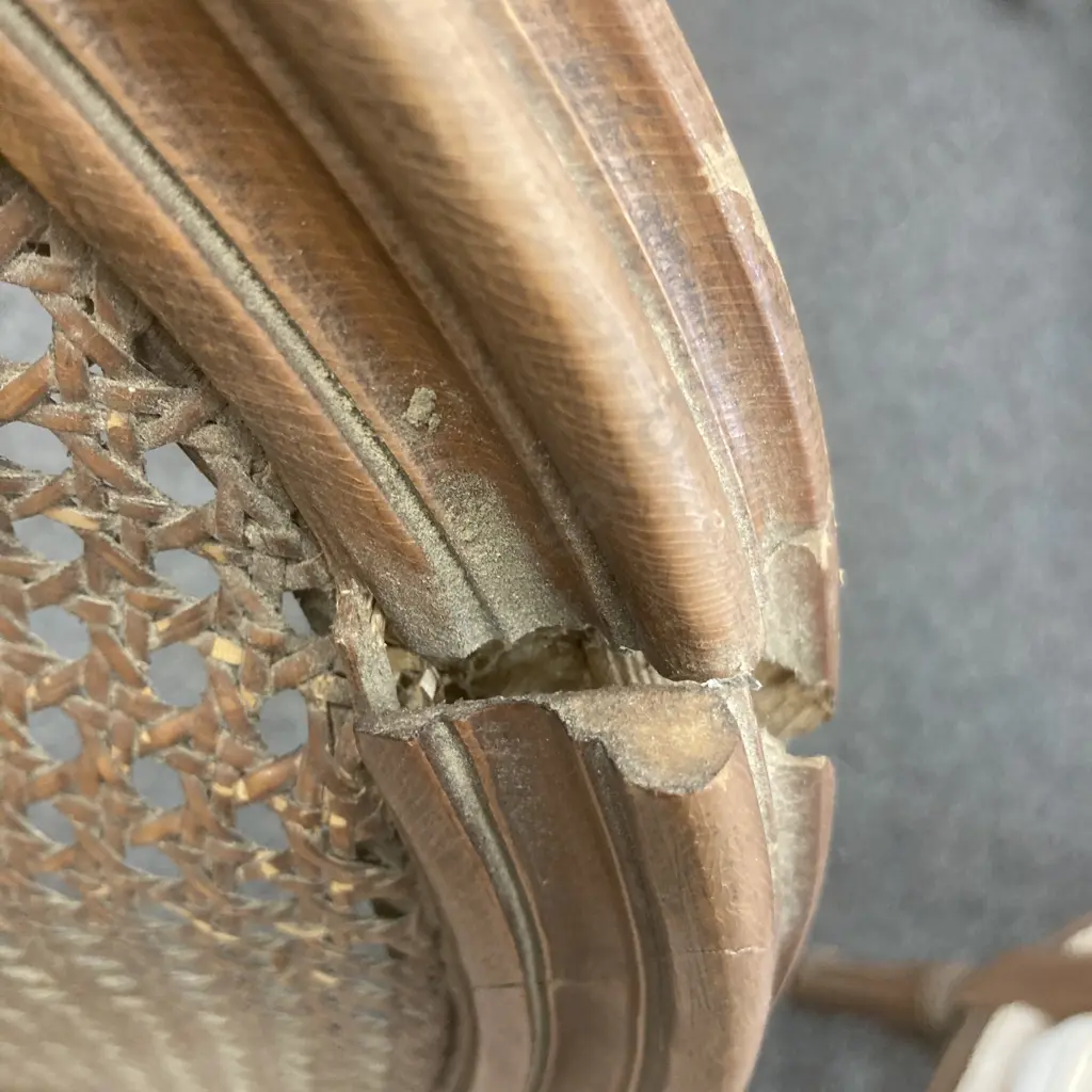 Pair of Vintage Louis XVI Style Upholstered Cane Back Bergere Chairs (As Found) Image 1++
