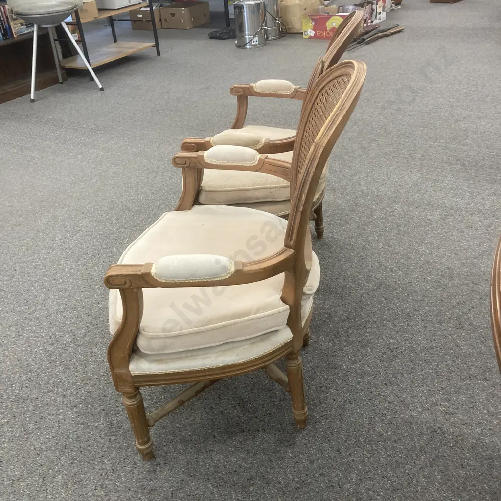 Pair of Vintage Louis XVI Style Upholstered Cane Back Bergere Chairs (As Found) Image 1++