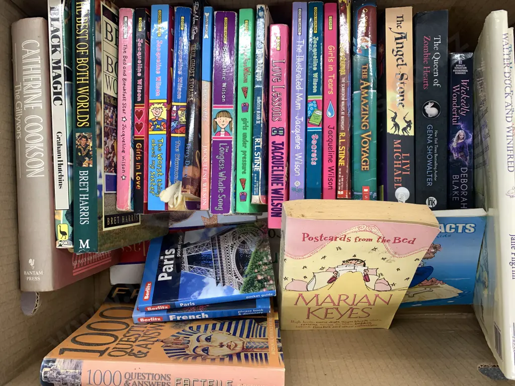 Selection of Books Including G.Stilton, R.L.Stine, Catherine Cookson Etc Image 1++
