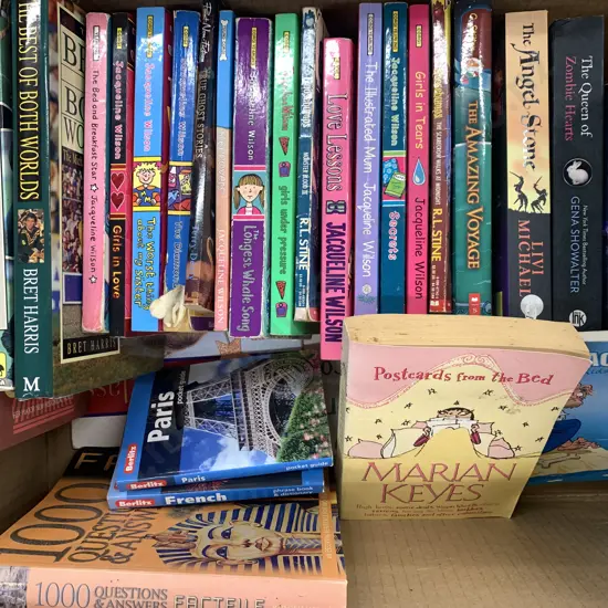 Selection of Books Including G.Stilton, R.L.Stine, Catherine Cookson Etc