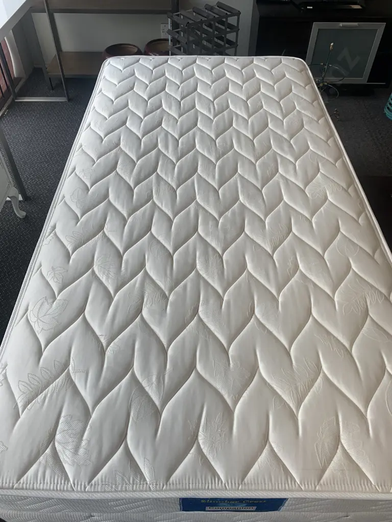 Sealy Posturpedic Slumber Crest Companion King Single Trundler Bed, Cream Leaf Design Image 1++