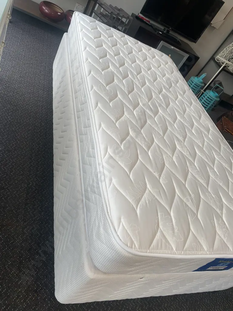 Sealy Posturpedic Slumber Crest Companion King Single Trundler Bed, Cream Leaf Design Image 1++