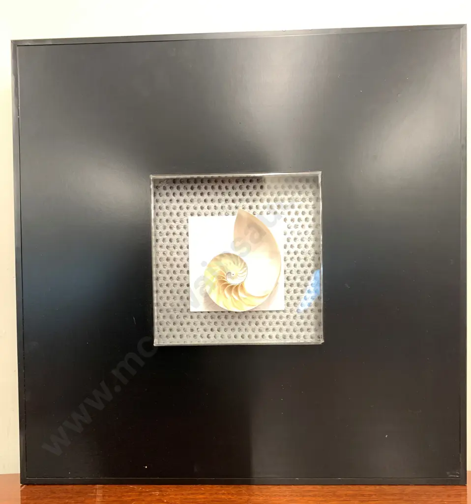 Black Framed Sea Wind Wall Art, 55 x 55cm,Bowls, Woods & Sons, Floral Serving Platter & Vases x 2 Etc Image 1++