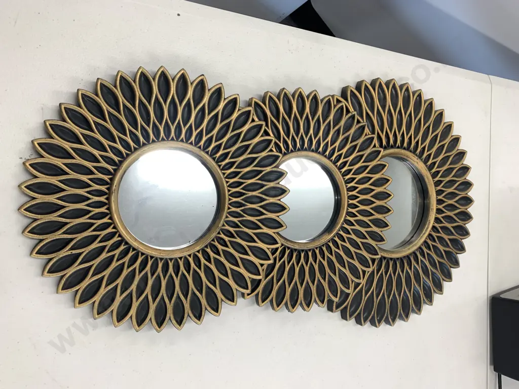 Set of 3 Decorative Round Black / Gold detail Wall Mirrors, 1 x 38cm 2 x 30cm Image 1++