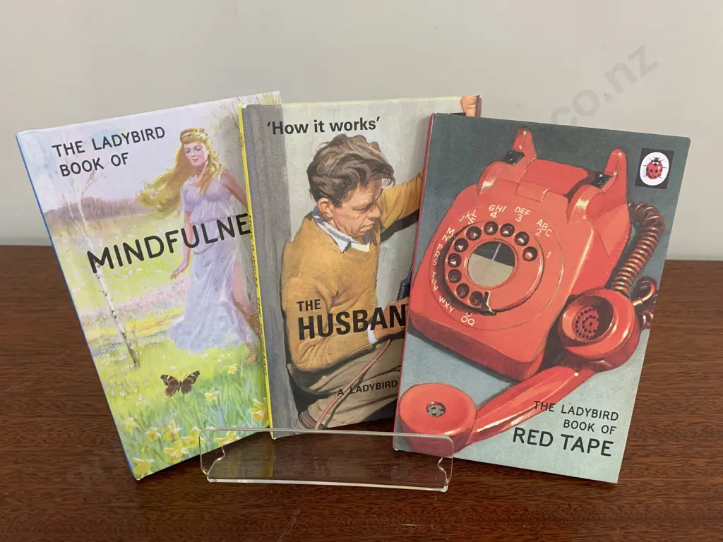 The Ladybird Book Of Mindfulness, Red Tape, & 'How It Works' The Husband Image 1++