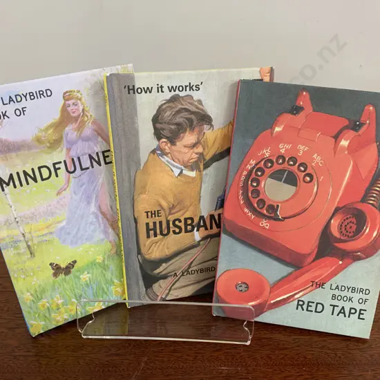 The Ladybird Book Of Mindfulness, Red Tape, & 'How It Works' The Husband