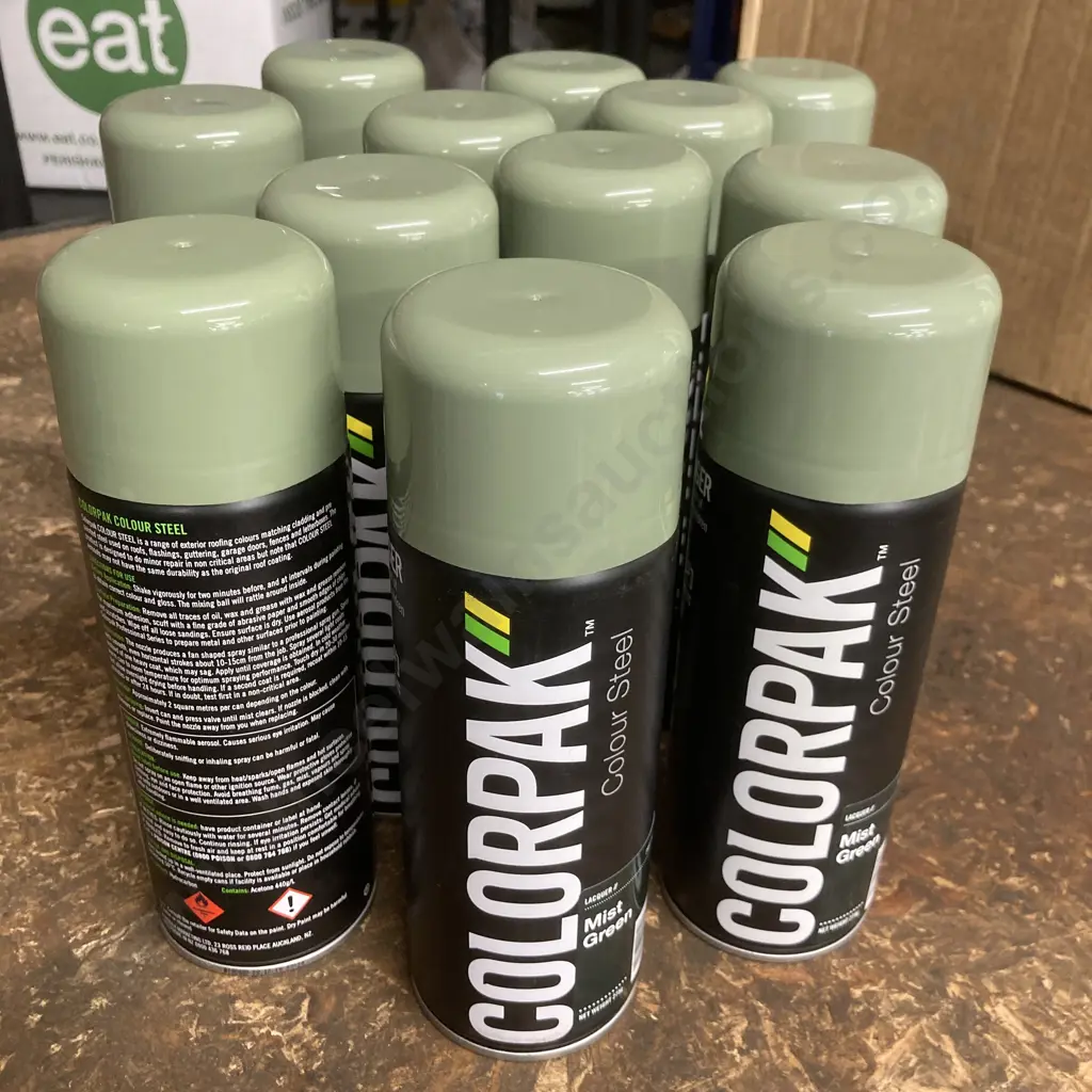 Lot of 12 Colorpak Coloursteel Aerosol Spraypaint Permanent Mist Green 275g Image 1++